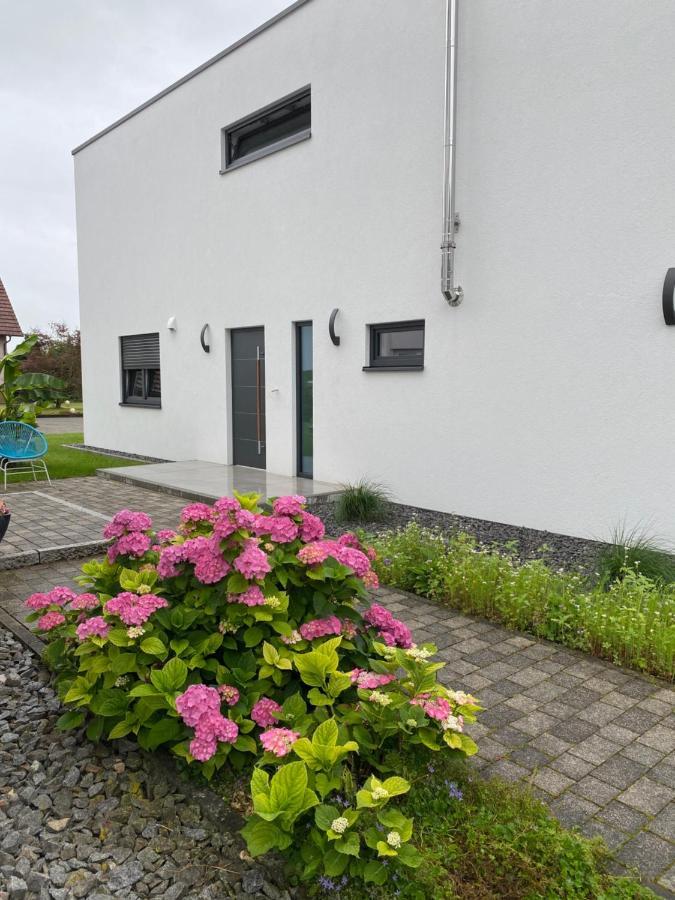 Schoener Wohnen Friesenheim  Exterior photo